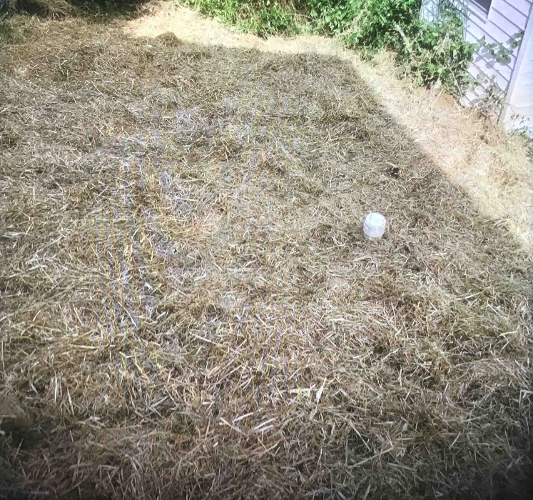 All About Septic - Mills River Image