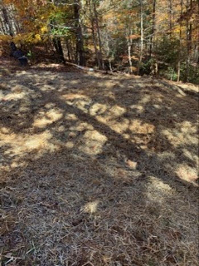 All About Septic - Mills River Image