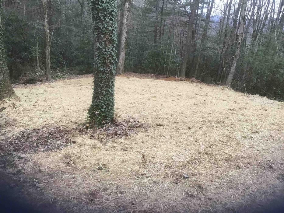 All About Septic - Mills River Image