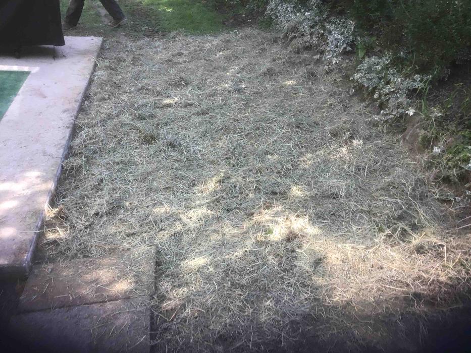 All About Septic - Mills River Image