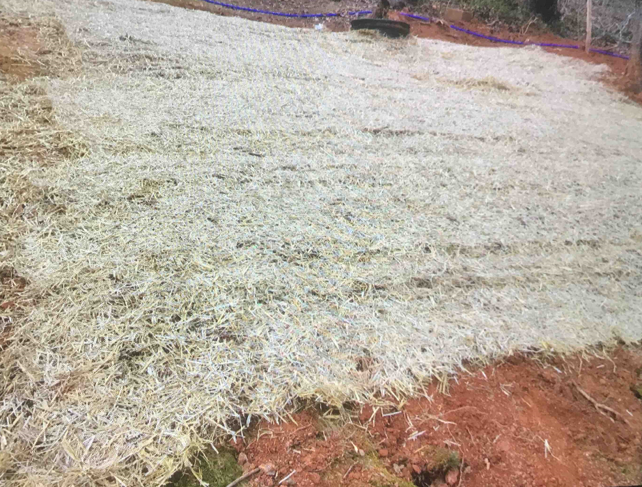 All About Septic - Mills River Image