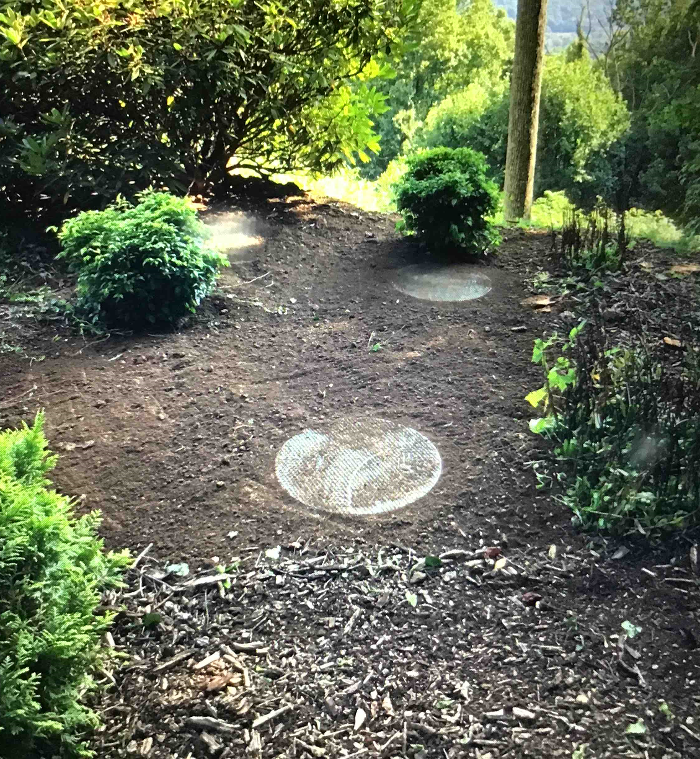 All About Septic - Mills River Image