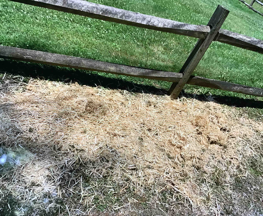 All About Septic - Mills River Image