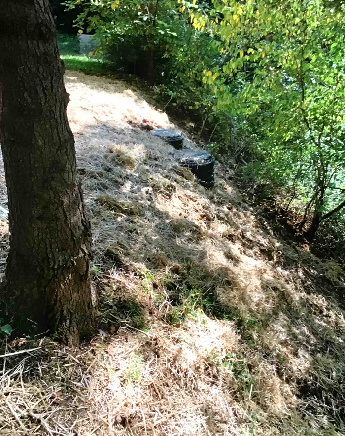 All About Septic - Mills River Image