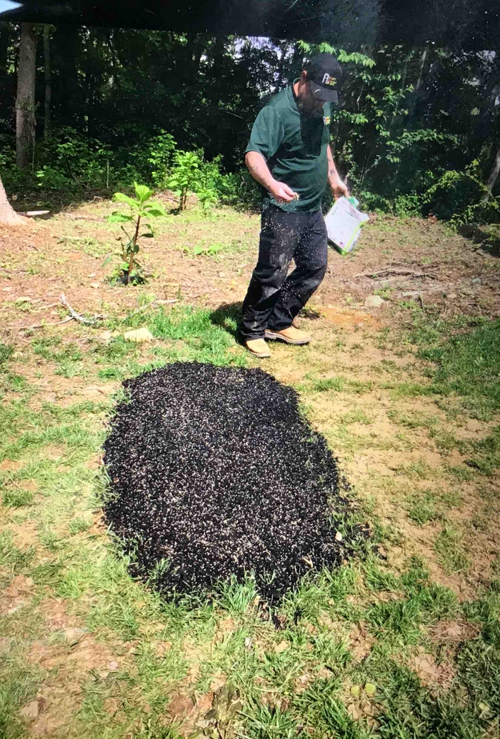 All About Septic - Mills River Image