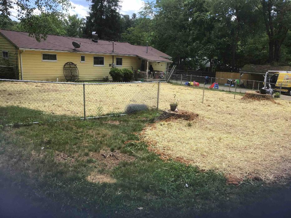 All About Septic - Mills River Image