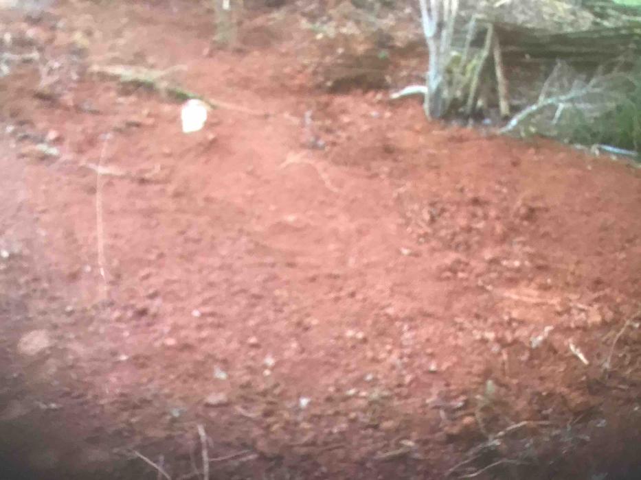 All About Septic - Mills River Image