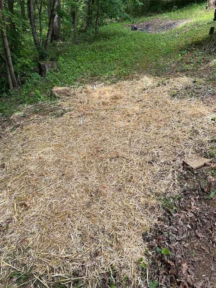 All About Septic - Mills River Image