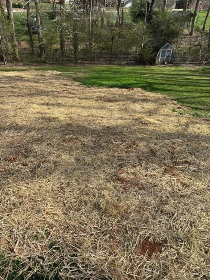 All About Septic - Mills River Image