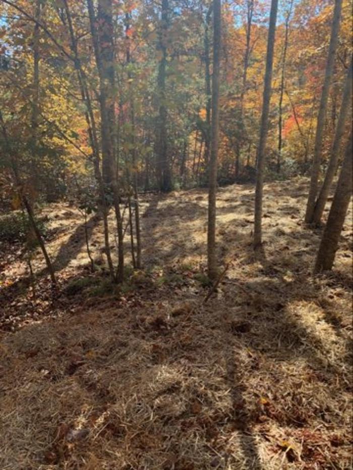 All About Septic - Mills River Image