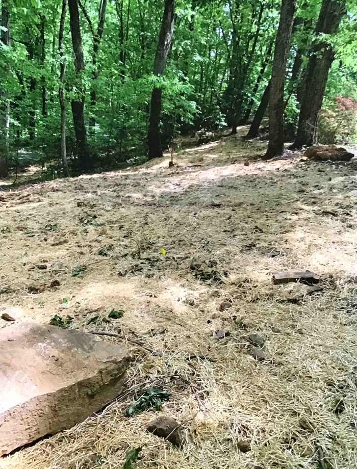 All About Septic - Mills River Image