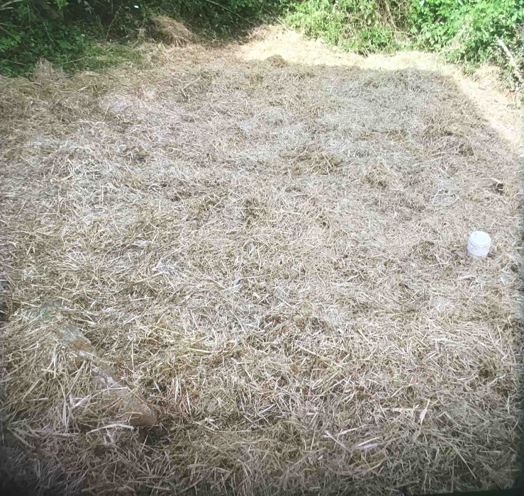 All About Septic - Mills River Image