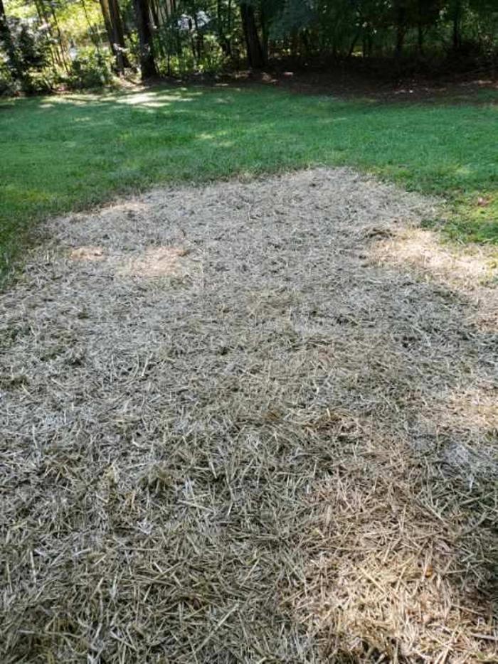 All About Septic - Mills River Image