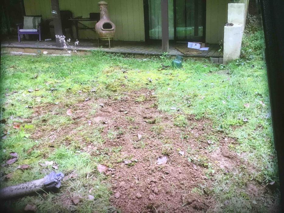 All About Septic - Mills River Image