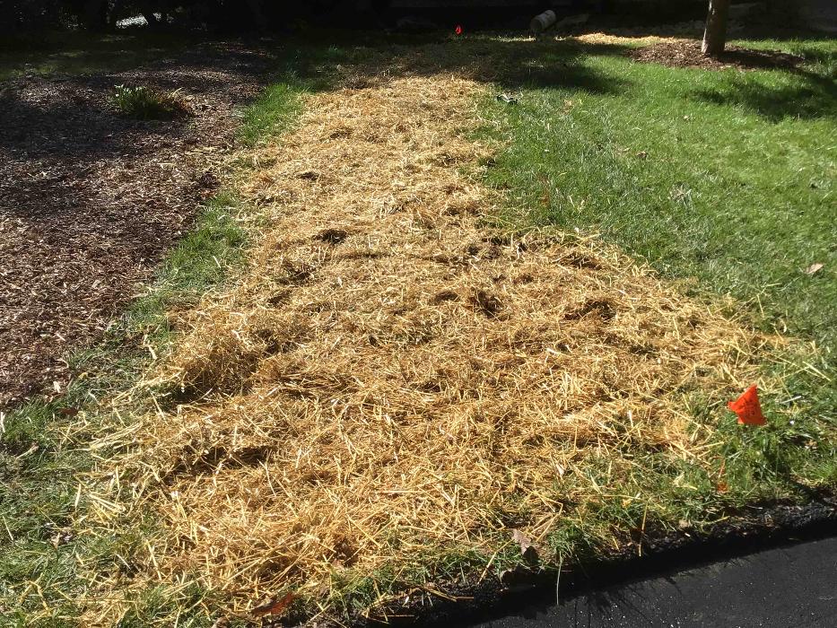 All About Septic - Mills River Image