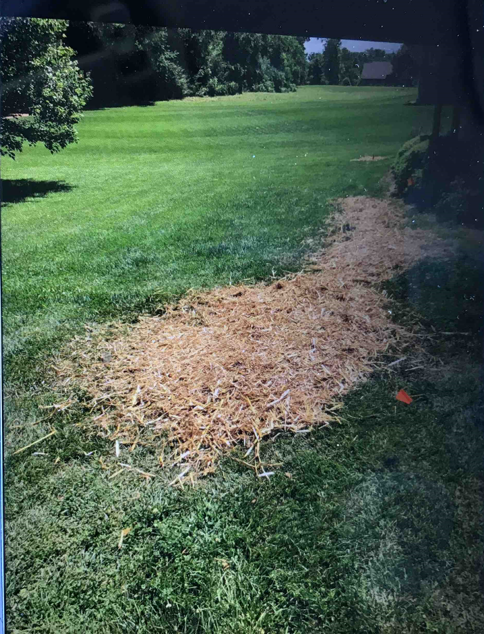 All About Septic - Mills River Image