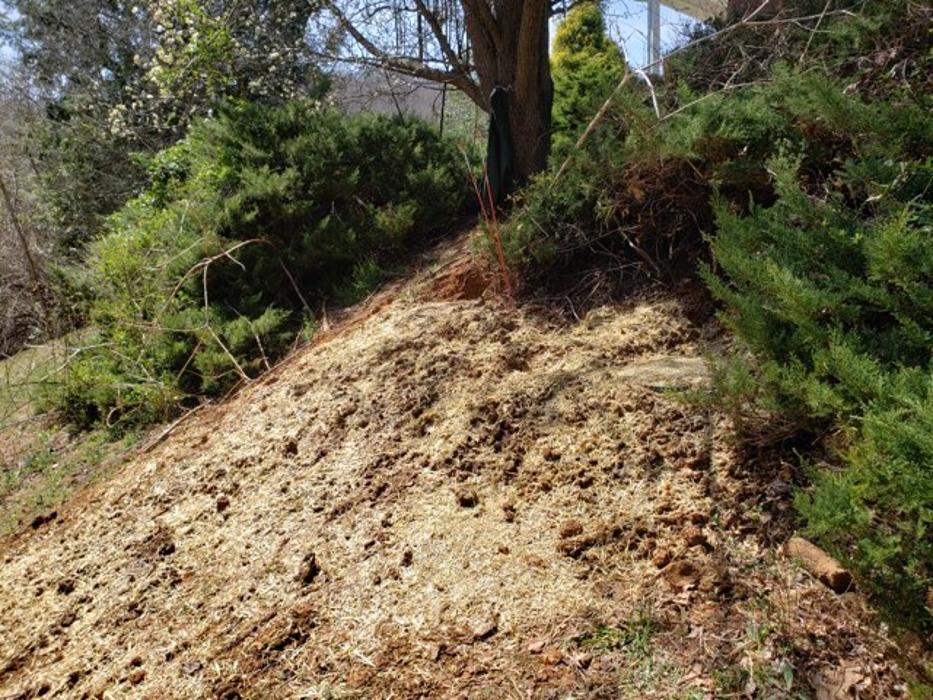 All About Septic - Mills River Image