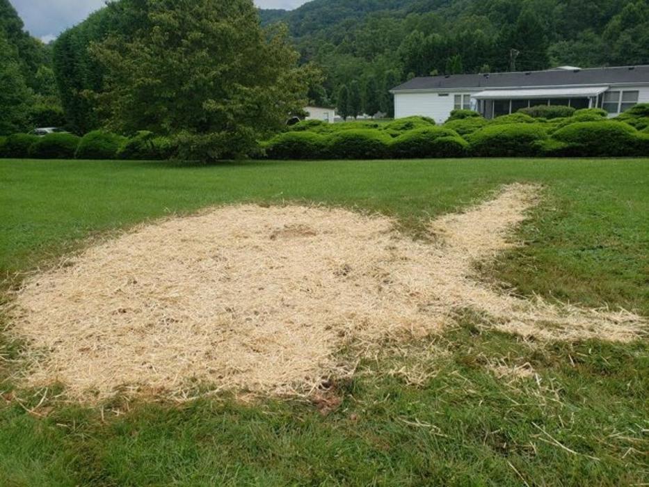 All About Septic - Mills River Image