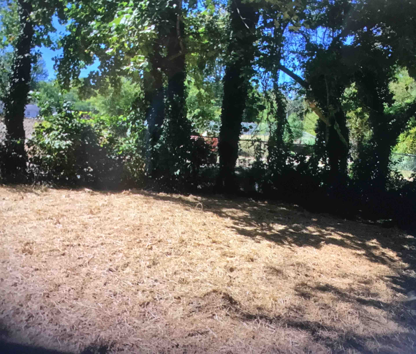 All About Septic - Mills River Image