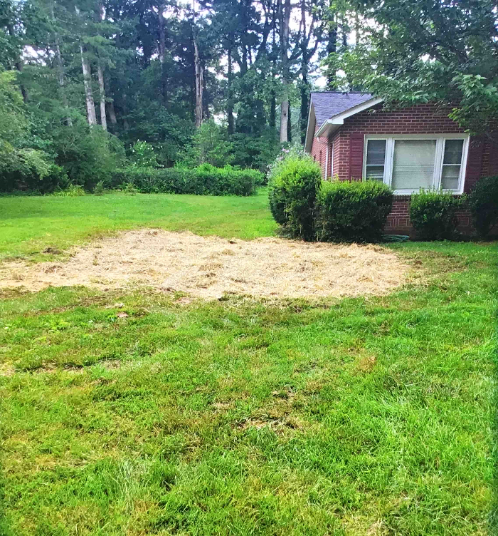 All About Septic - Mills River Image