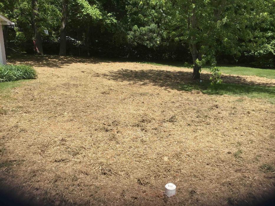 All About Septic - Mills River Image