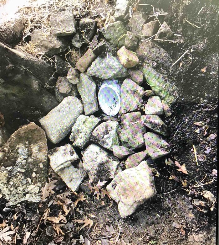 All About Septic - Mills River Image