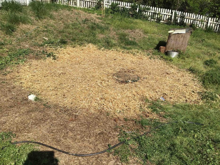 All About Septic - Mills River Image