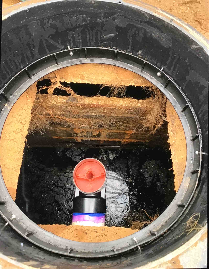 All About Septic - Mills River Image