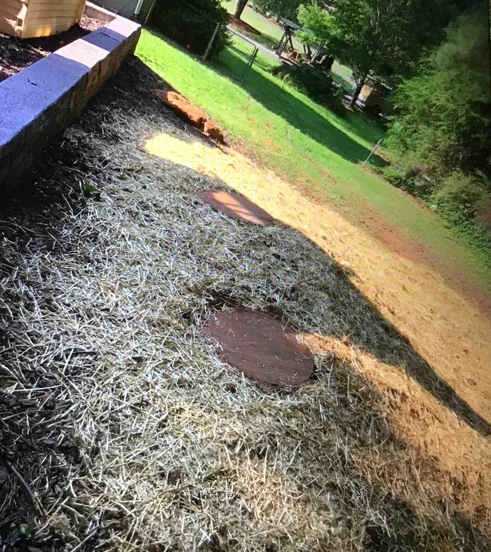 All About Septic - Mills River Image