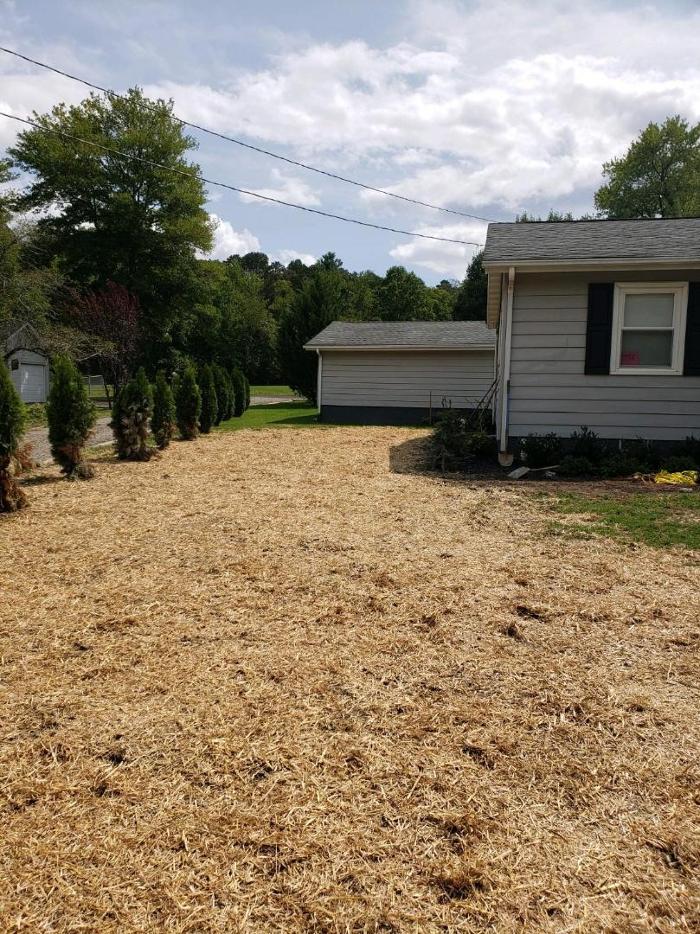 All About Septic - Mills River Image