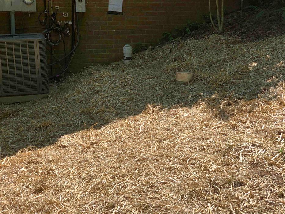 All About Septic - Mills River Image