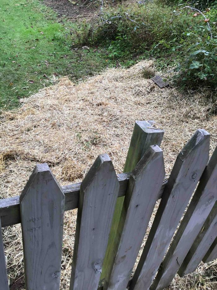 All About Septic - Mills River Image