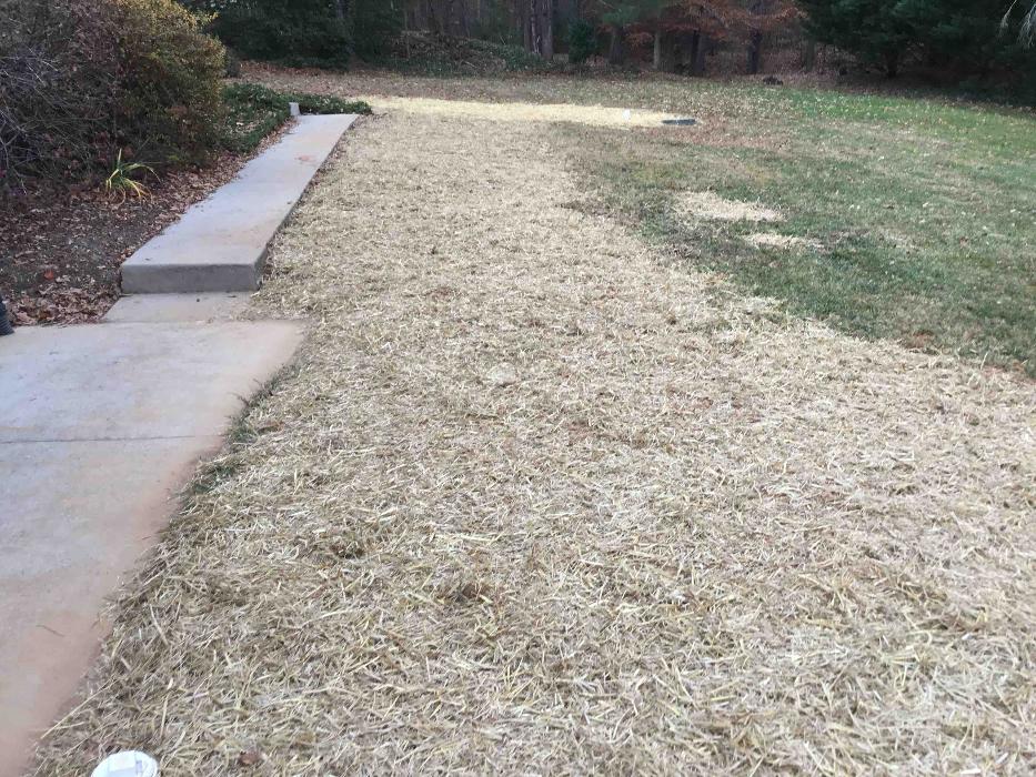 All About Septic - Mills River Image