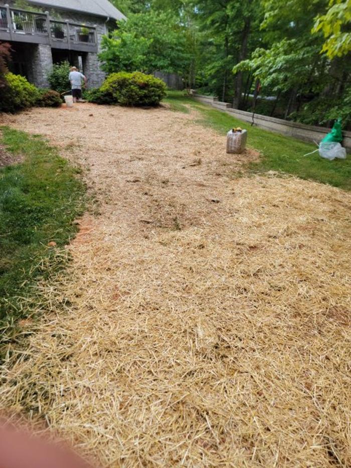 All About Septic - Mills River Image