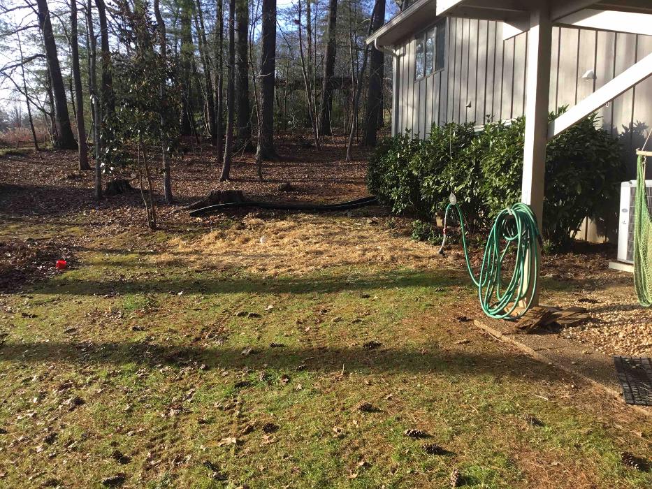 All About Septic - Mills River Image