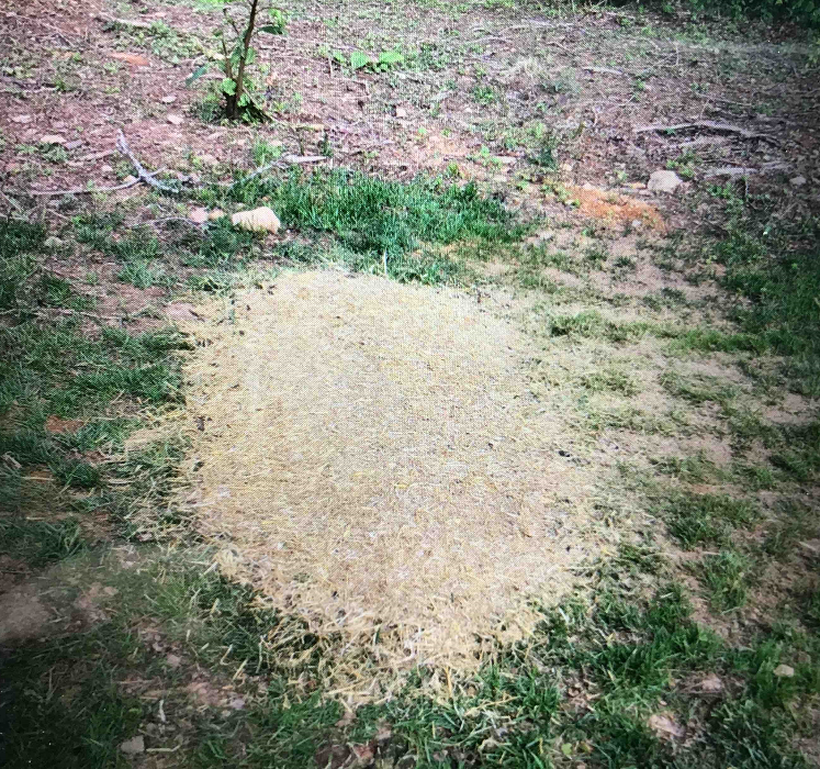 All About Septic - Mills River Image