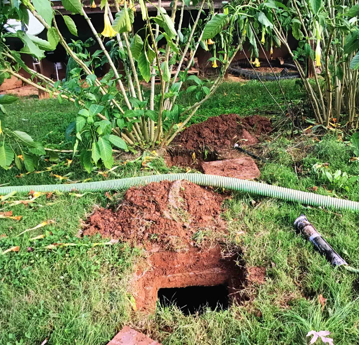 All About Septic - Mills River Image