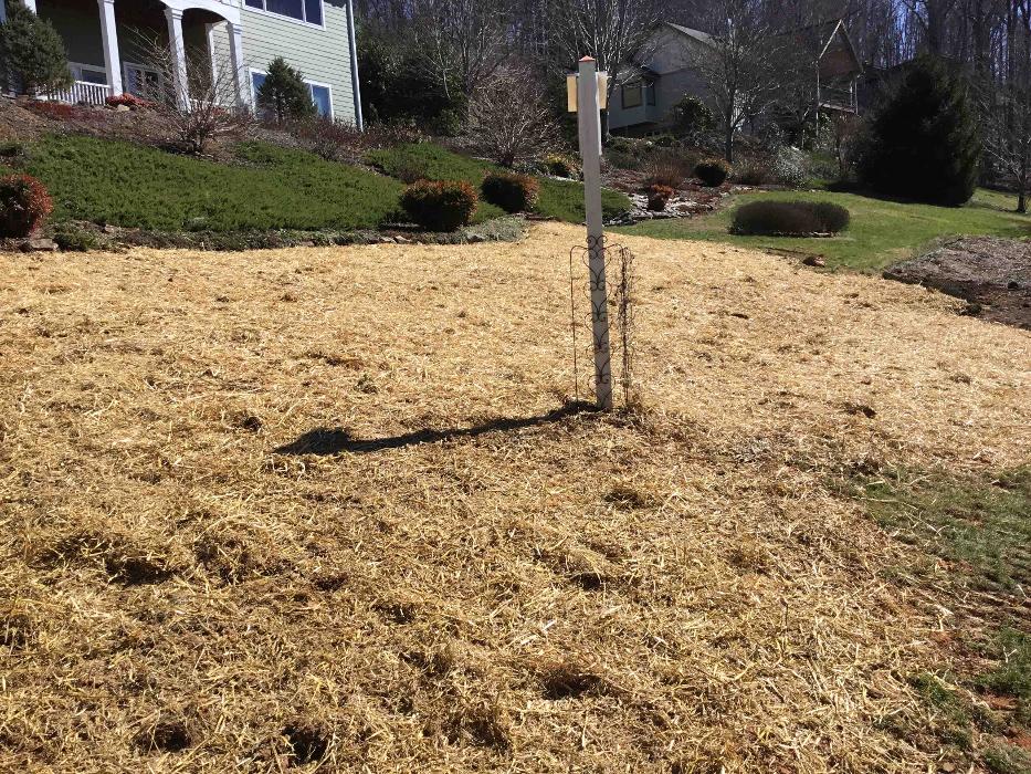 All About Septic - Mills River Image