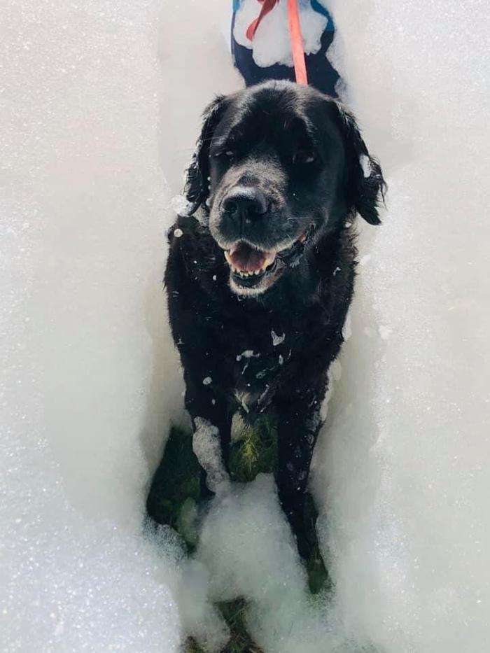 Monty the Magician - Houston, TX