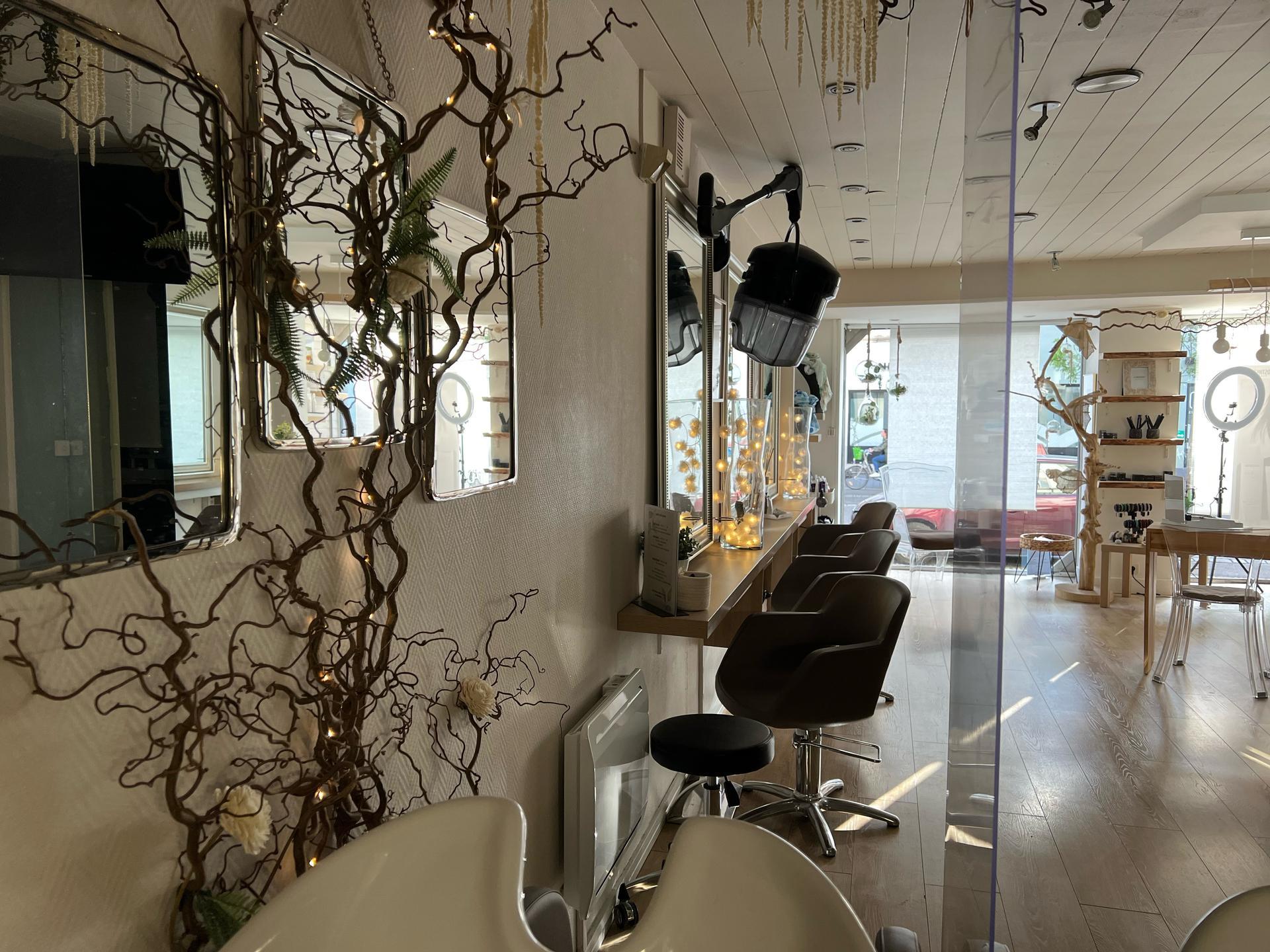 galerie image