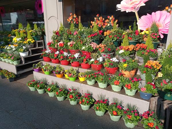 L'Instant Fleuri fleuriste