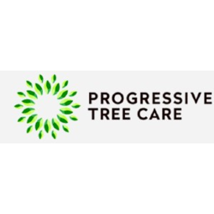 Progressive Tree Care - Placentia, CA