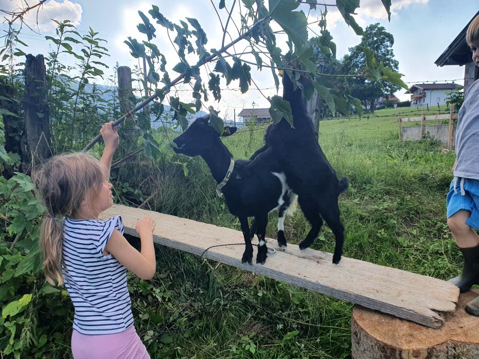 Ferienwohnungen Stadlhof - Going am Wilden Kaiser, Thurnbichlweg in Going am Wilden Kaiser