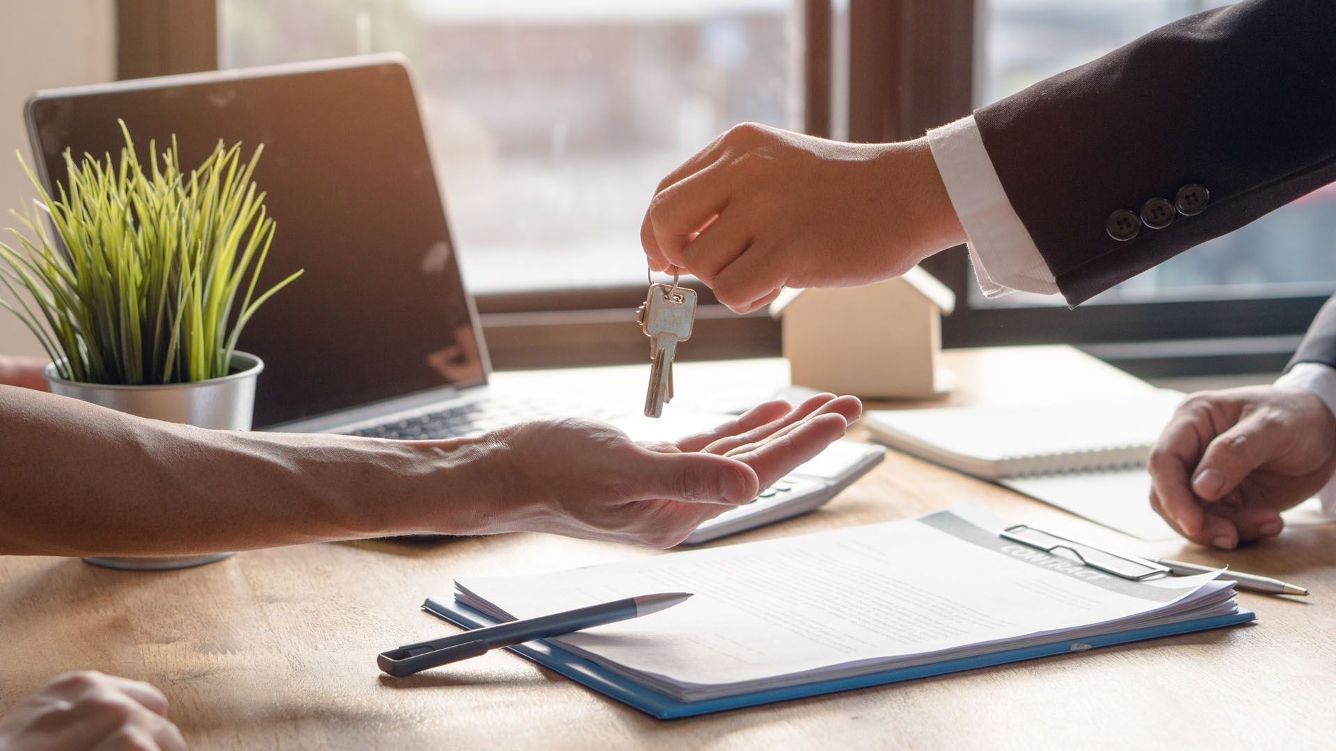 Galería en miniatura