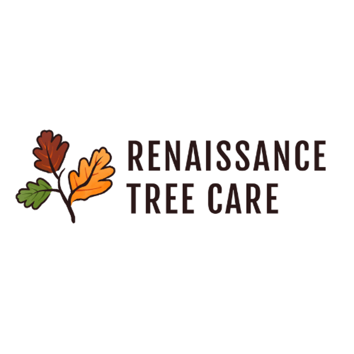 Renaissance Tree Care - Rochester, MN