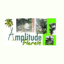 Amplitude Florale