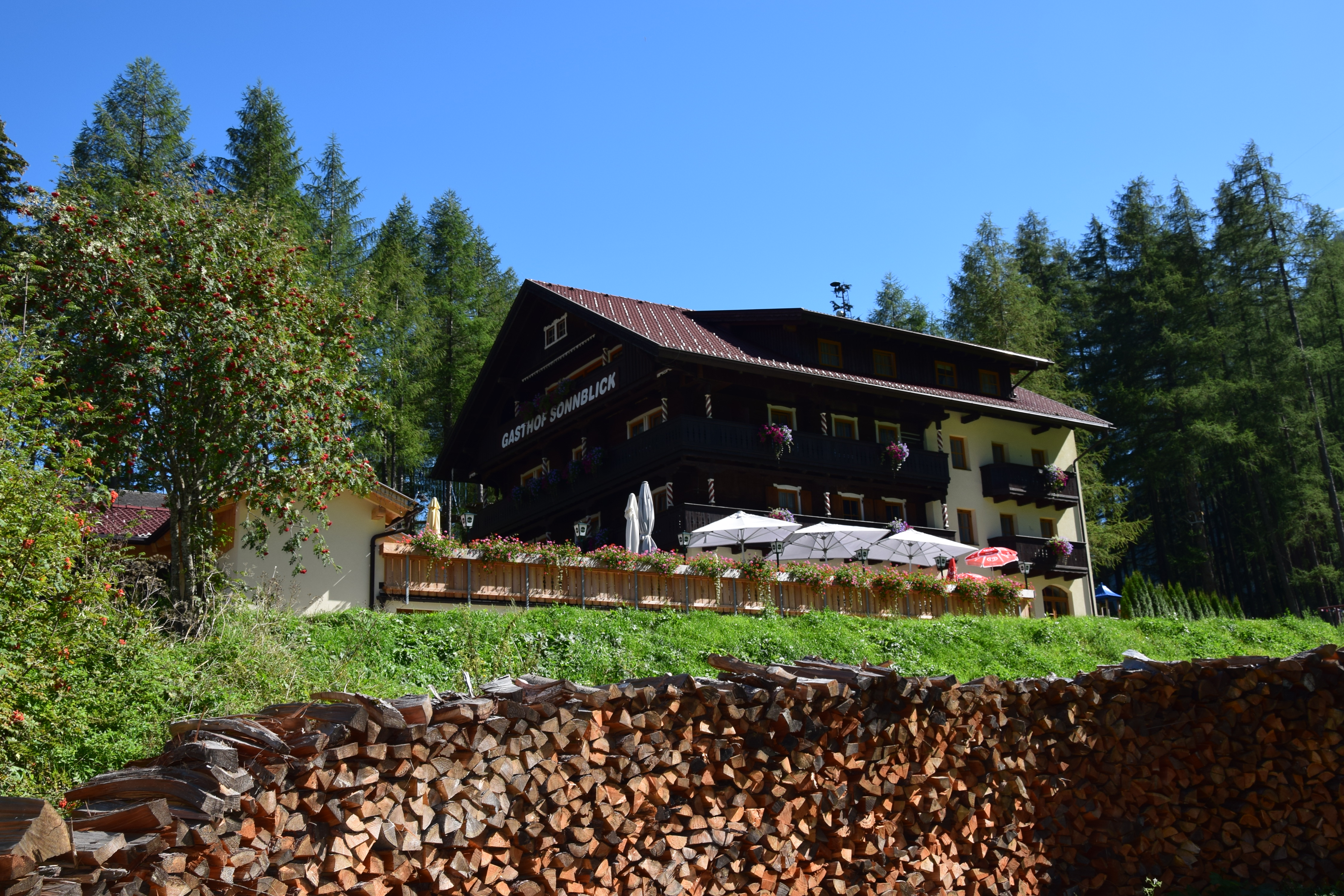 Galerie-Thumbnail