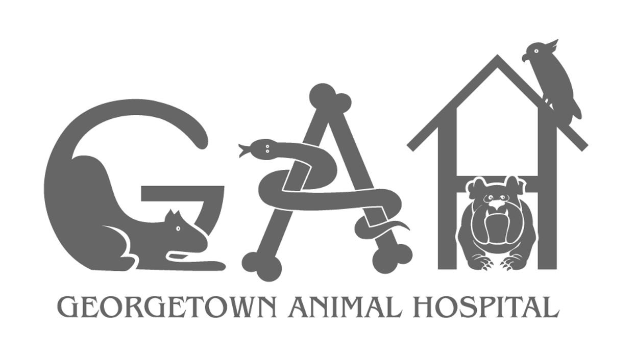 Georgetown Animal Hospital