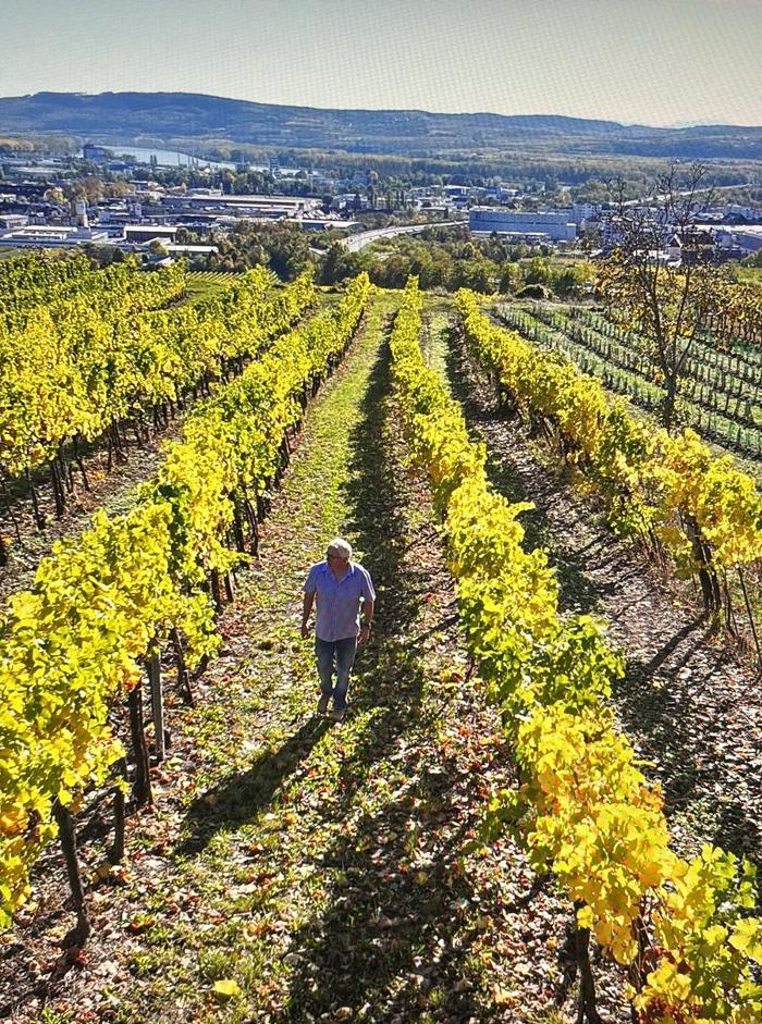 Weingut Lechner, Obere Hauptstraße in Stratzing