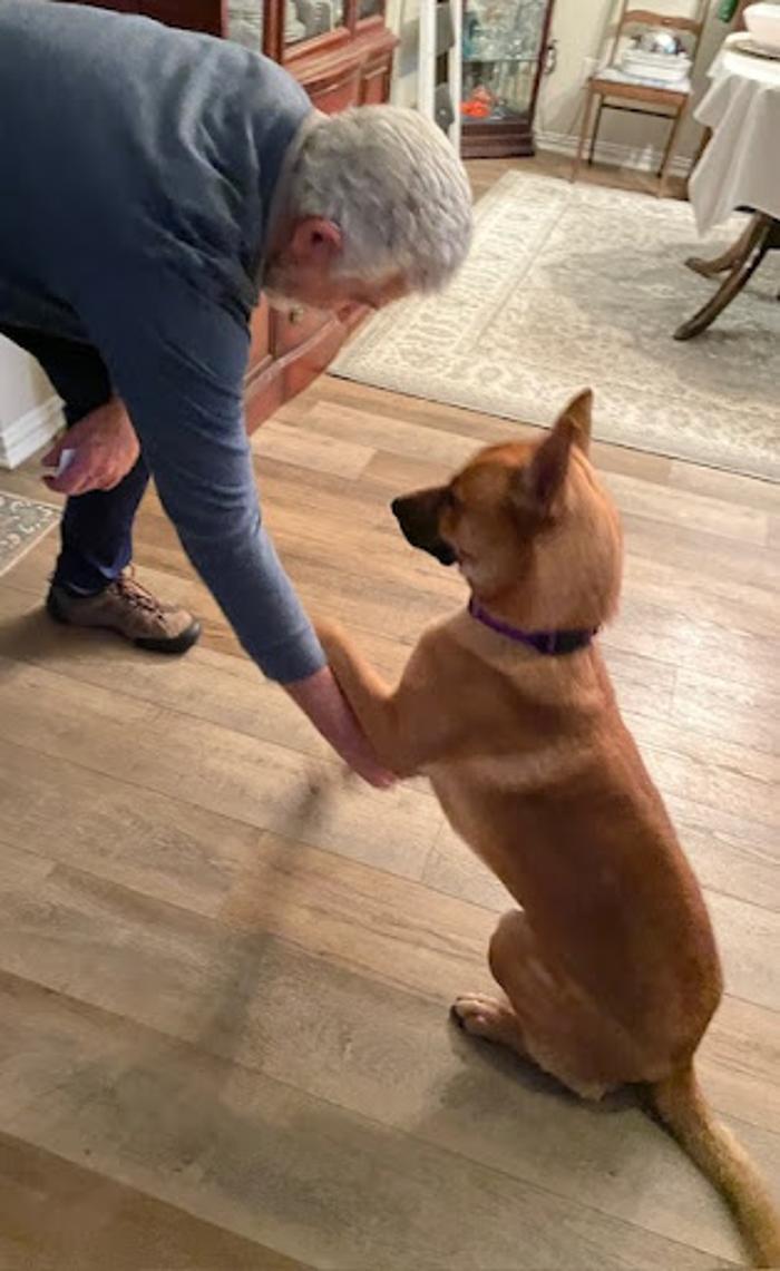 Robyn's furry friends pet sitting - Leander, TX